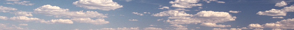 AirVision™ Web Access